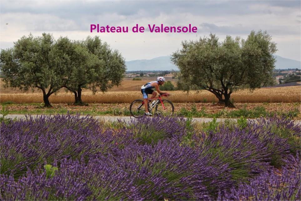 Coeur De Ville, T2, Rue Pietonne, Digne Les Bains Exterior photo